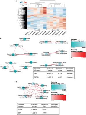 Effects of Anti-Integrin Treatment With Vedolizumab on Immune Pathways and Cytokines in Inflammatory Bowel Diseases